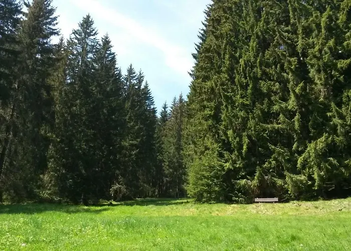 Bad Hundertpfund Typ C